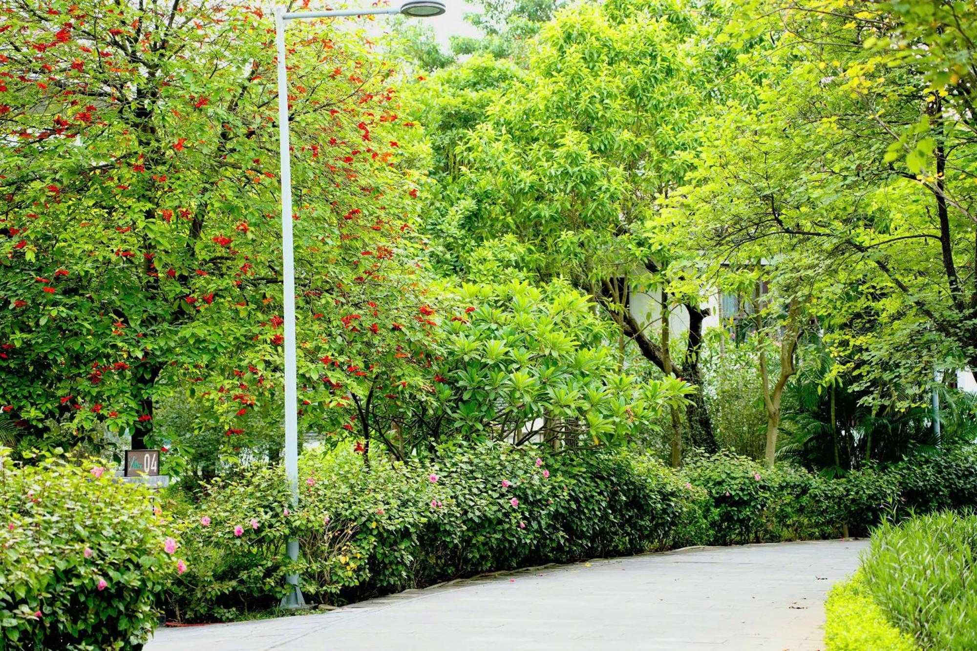 Ncc Garden Villas - Ncc Hotel — Photos 2